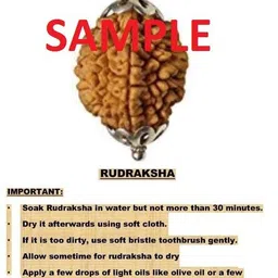 aurra stores 100 % Original & Natural Four Face Char Mukhi 4 Mukhi Rudraksha With JGL Lab Certified Wood Pendant image 3