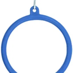 shanvi Multicolor Birds Cage accessories Ladder 1, Ball 2, Round 1 Toys for Pets Bird Play Stand image 4