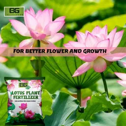 elamgreen Lotus Plant Fertilizer | Growth & Flower Booster for Healthy Lotus Fertilizer image 4