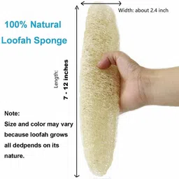 sharanyad Loofah image 2