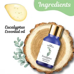 sage apothecary Eucalyptus Essential Oil │100% Pure image 5