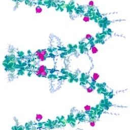 dynamic retail global Artificial Hanging Flowers Plant Wall Hanging Garland Chain Home Decor WXQ509 Multicolor Rose Artificial Flower image 2