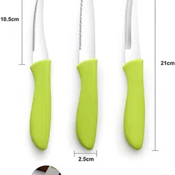 drumstone Stainless Steel Fruit Knife image 5