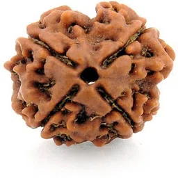 numeroastro Natural & Original Ganesh Rudraksha (4Mukhi) Beads Wood Pendant-picture-21
