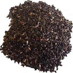 numinous CoFs-31, Sorghum, Jowar, Multi-cut Perennial, Fodder Grass Seed-picture-18