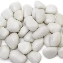 hug a plant WHITE POLISHED PEBBLE-5KG Polished Round Rock Stone-picture-22