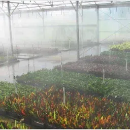 appster 5pcs 4 Way Fogger Assembly Complete 1/2" Threaded with Anti-Drip Check Valve 100 L Hose-end Sprayer image 5