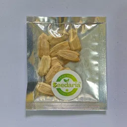 seedaria F1 Hybrid long Bottle Gourd seeds, lauki seeds, lau, summer vegetables Seed image 2