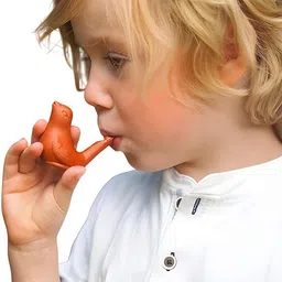 tarru collections Clay Bird Water Whistle Toy(Set of 2) Pealess Whistle image 4