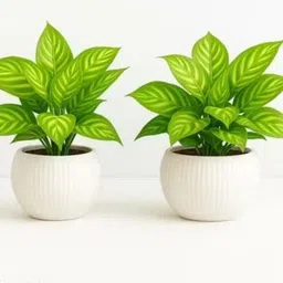 LUSHPETALS Beautiful artificial green leaaves flower pot for home decoration Green Poinsettia Artificial Flower with Pot-image-62