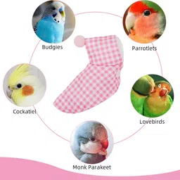 gustave Coat for Bird image 5