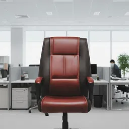 crafstwell Leather Office Arm Chair-picture-43