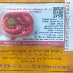 robin export company 4 Mukhi Nepali Rudraksha Four Faced Rudraksha Lab Test Certificate Sterling Silver Beads Wood Locket image 3