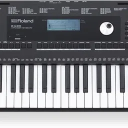 E-X20 Roland E-X20 Digital Arranger Keyboard-picture-28