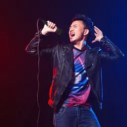 darkingwings Singing Mic Studio Voice Recording Vocal Microphone Karaoke Mic with XLR Cable Vocal Microphone image 5