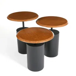 monteri Oslo Nested Coffee Table Set in Matte Finish-picture-28