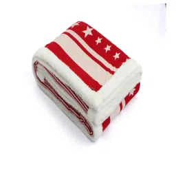 pluchi Red Cotton Solid 250 Gsm Single Bed Blanket image 3