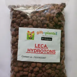 giftnplants Leca (Clay Balls) for Plants Beautification, Use in Potting Mix and Hydroponic Potting Mixture-picture-28