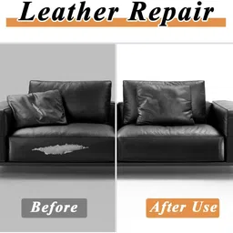 skyunion Couch, Furniture, Driver Seat image 4