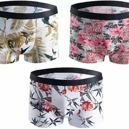 cavenders Men Trunk image 2