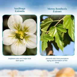 VLCC Set of 3 3D Youth Boost SPF40 Sunscreen Gel Cream - 100g each image 5