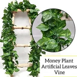 spiricon Realistic Artificial Money Plant Vine - Stylish Wall, Home & Décor Pack of 2 Artificial Plant image 5