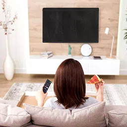 RS Creations Led 43 Inch Cover for 43 inch Premium Waterproof Dustproof 43-Inch LED TV Cover – Crocodile-Look Fabric - FK03-LED 43 INCH COVER-picture-35