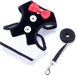 flostrain Black pet harness Dog & Cat Harness & Leash-picture-28