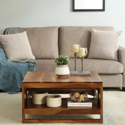 woodsworth from pepperfry Avian Sheesham Wood Coffee Table In Scratch Resistant Rustic Teak Finish With Shelf-picture-23