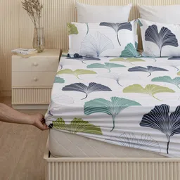 homemonde Cotton Queen Fitted (Elastic) 210 TC Printed Bedsheet-picture-16