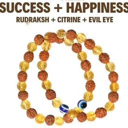 healinggems Crystal, Rudraksha, Citrine, Evil Eye Agate Bracelet image 4