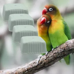 jainsons pet products Natural Minerals Block Calcium Suppliment for All Birds 0.3 kg Dry Young, Adult, New Born, Senior Bird Food image 4