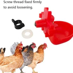 bethlehem 10 ml Water Trough image 2