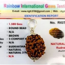 kripalu store Lab Certified Natural 3 Mukhi Rudraksha Locket 3 Face Rudraksha Pendant Beads Silver Beads Wood Pendant image 4