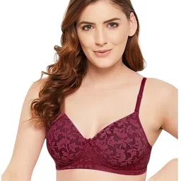 bewild Women Full Coverage Lightly Padded Bra image 1