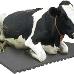 ursus Cow Mat, Feeding Mat,Easy Clean,Waterproof, Raised Edges, Mat for Cows, Buffalo Cow, Dog, Guinea Pig, Hamster, Miniature Pig Pet Mat-picture-27