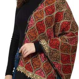 Fancy duppatta house Pashmina Embroidered, Embellished Women, Men Shawl-picture-12