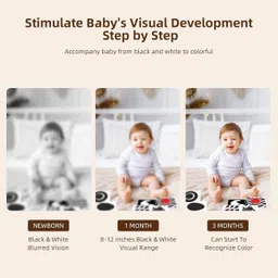 webby High Contrast Baby Sensory Development Flashcard for Newborn, Infants and Babies image 3