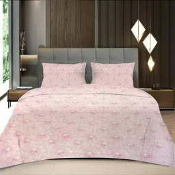 Threads Silky Touch Premium Super Double Queen Size Flat Bedsheet 254 x 230 cms-picture-18