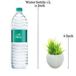 Akaar Grey 2 Pieces Fern Artificial Plant With Pot image 4