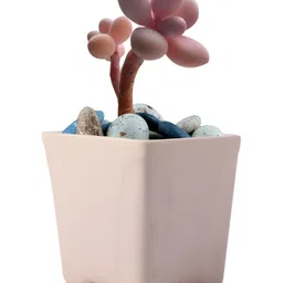 LASAKI White Ceramic Planter With Holder-picture-20