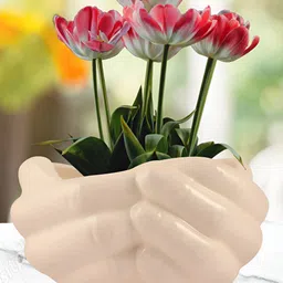 LASAKI Cream Textured Ceramic Planter With Holder-picture-27