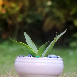 LASAKI White Ceramic Planter With Holder image 4