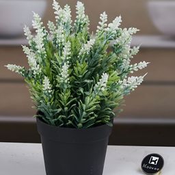 Kookee White And Green Artificial Plant With Pot-picture-11