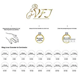 Vighnaharta Rhodium-Plated Cubic Zirconia Studded & Alphabet S Finger Ring With Rose Box image 5