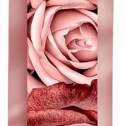 fannan the artist ROSE Room & Car Air Freshener Like PINK & RED MIXED ROSES 1400SHOTS Car Freshener Spray image 2