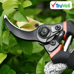 truveli Golden Garden Flower Cutter 8.2 Inch Plant Cutter for Garden Plants/Branch & Flower Cutter/Pruning Shears Bypass Pruner image 3
