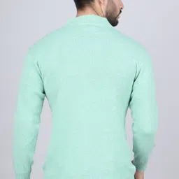 feverfew Men Self Design High Neck Light Green Sweater image 2