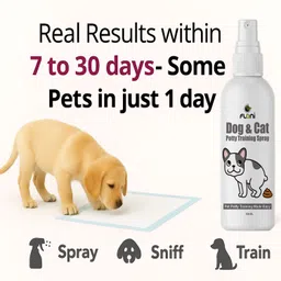 floni Petgreen Natural Potty & Toilet Training Spray Hypoallergenic Artificial Fragrance Dog, Cat, Rabbit Shampoo image 4