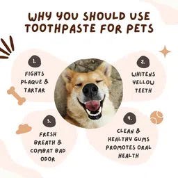 coco crush Natural Pet Toothpaste with Coconut Oil | Clove, Peppermint, & Cinnamon Flavour Pet Toothpaste image 2